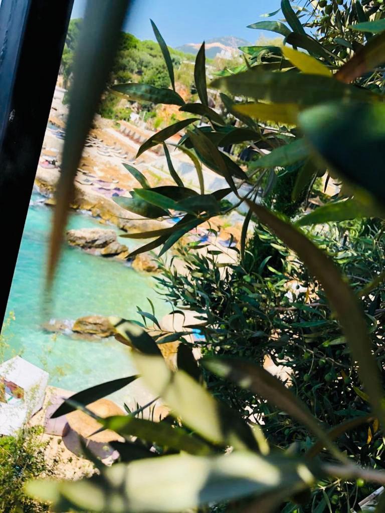 Rose Luxury Vlore, Full Sea View ! Leilighet Vlorë